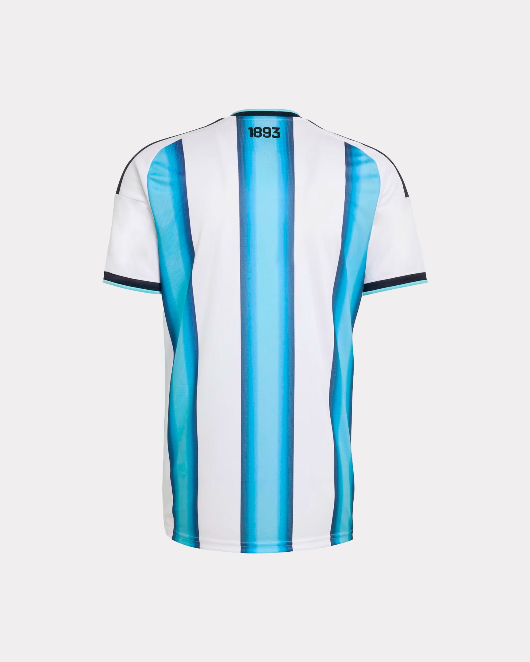 Camiseta selección de Argentina - Edición jugador