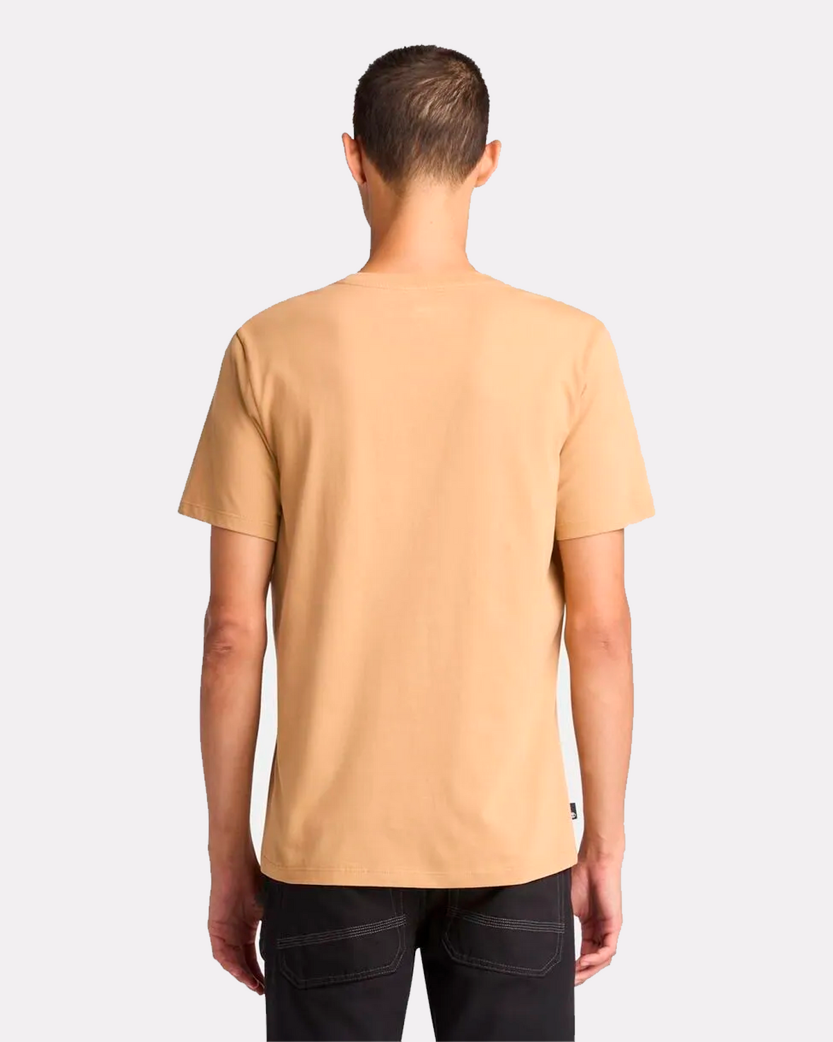 TIMBERLAND CAMISA BROW