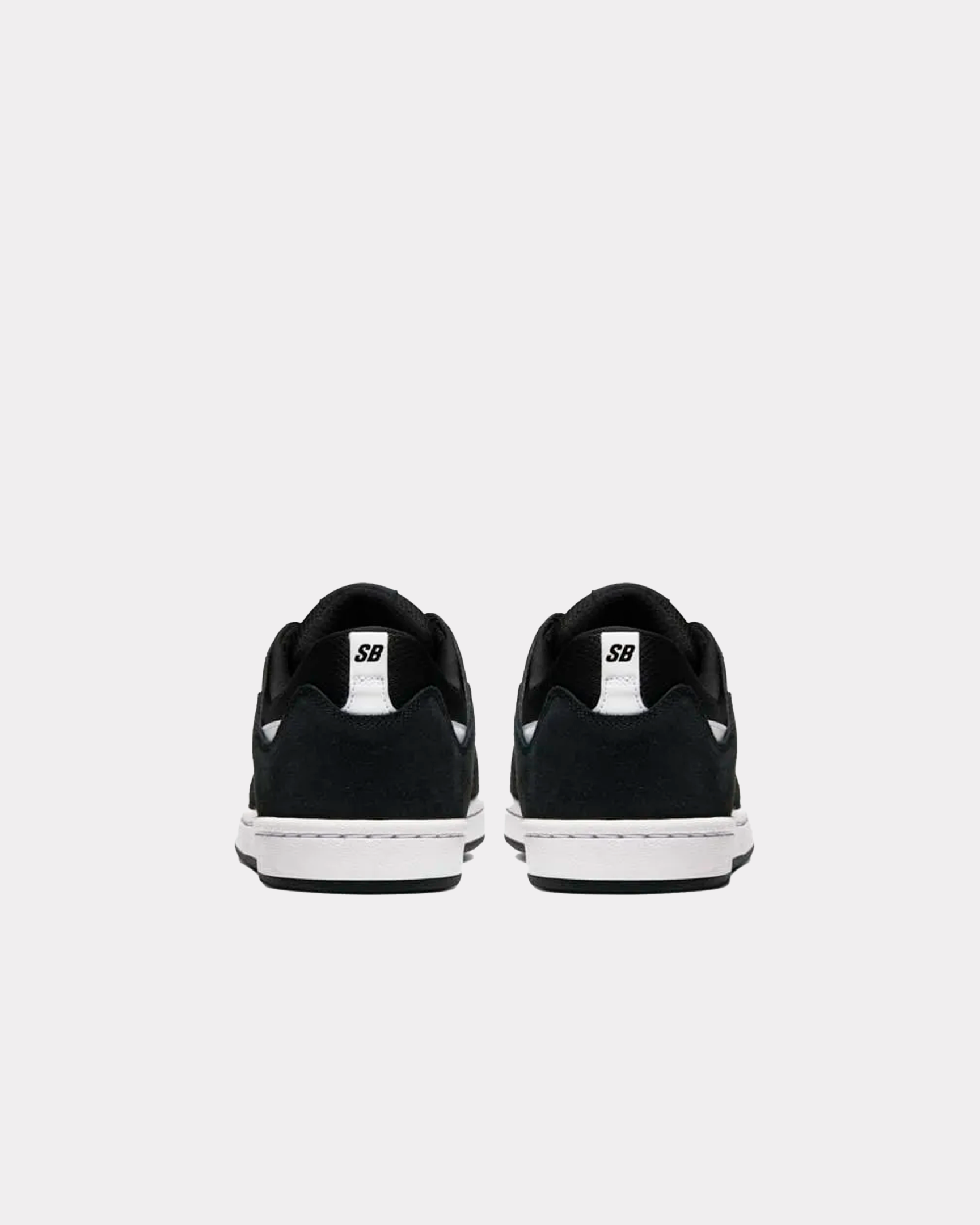 NIKE SB Alleyoop